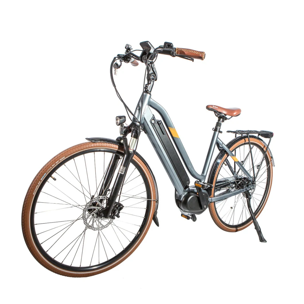 Greenpedel 36V 250W Adjustable Electric Bike City Bike Long Range Bike for Sale