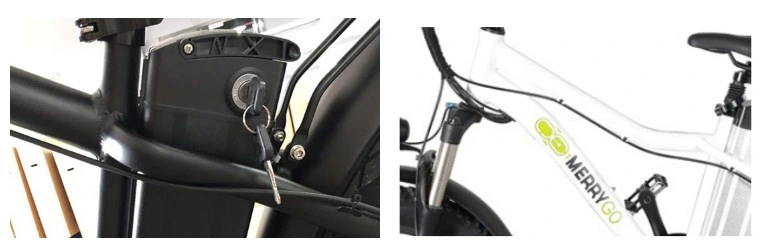 Mini Pedal Electric Bike Bafang Motor Lithium Power Ebike