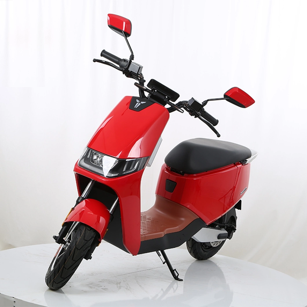Other Motorcycles Electric Bike with Price 48V Adults Two Wheels Electric Motorcycle 800W