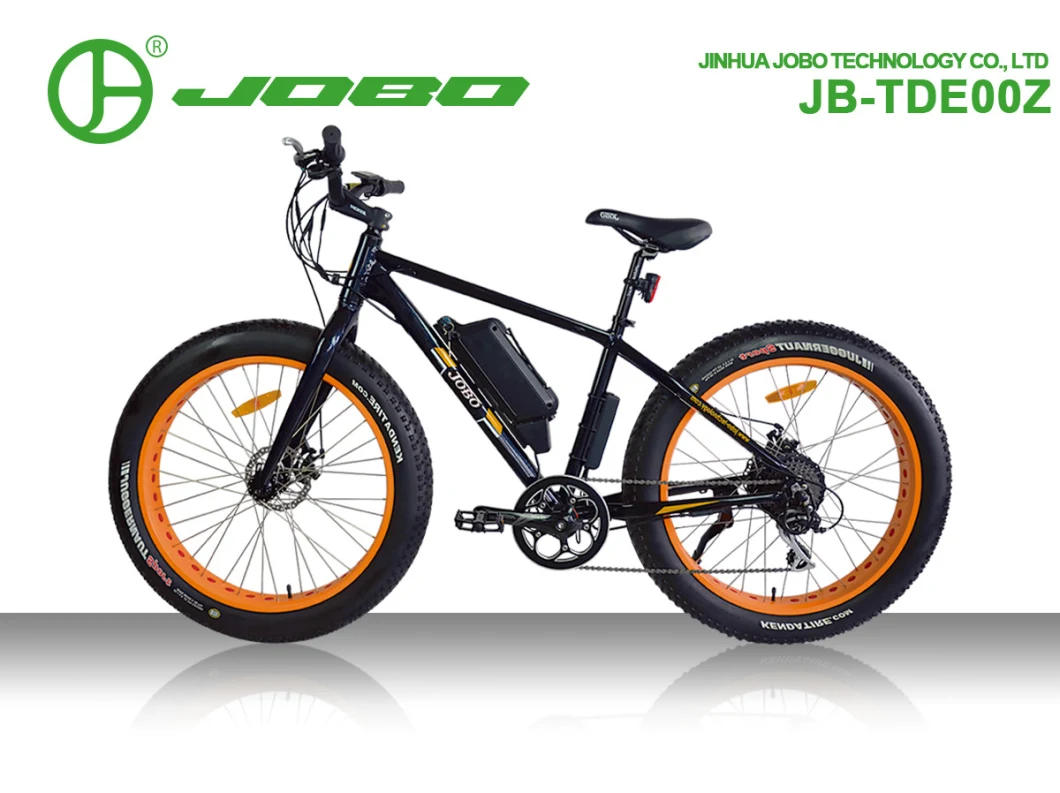 Bafang Motorcycle Bike Electric Fat Snow Bike Electric with En15194 Cerificates (JB-TDE00Z)