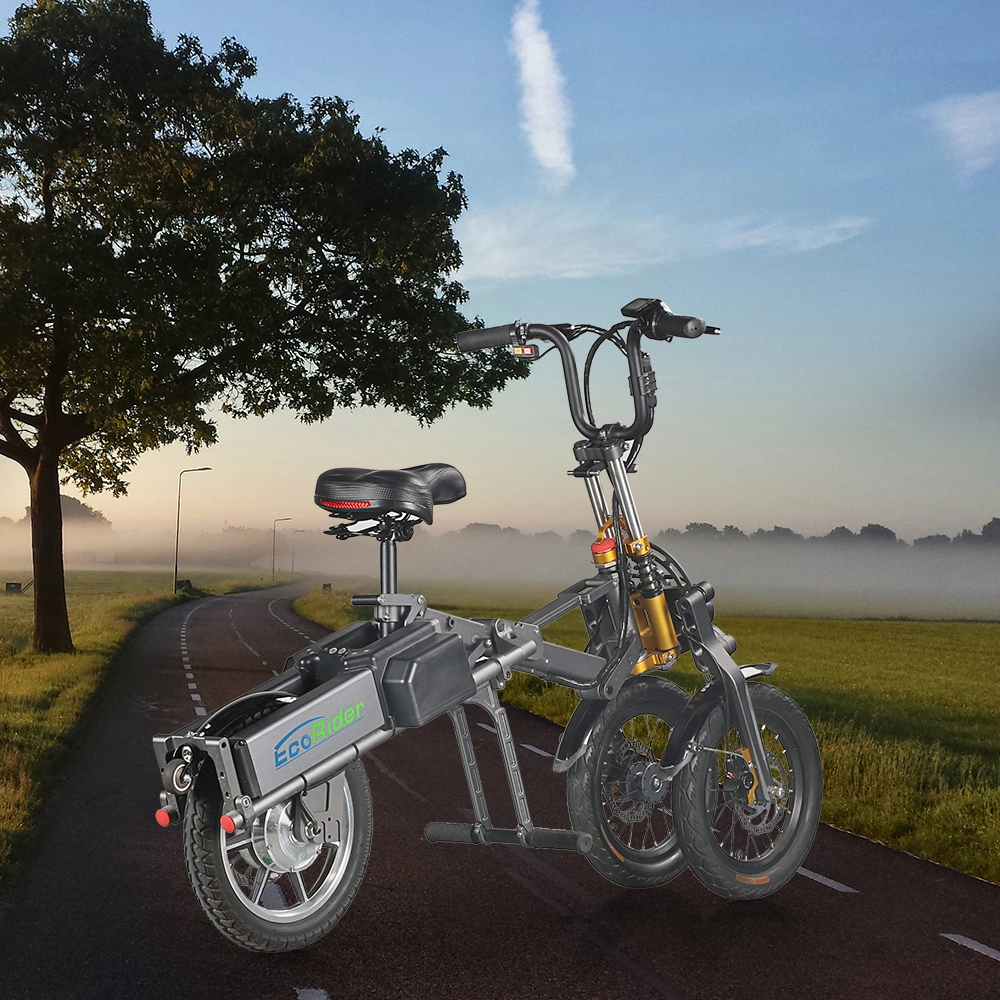 2019 250W European Fashionable Style Electric Folding Bike