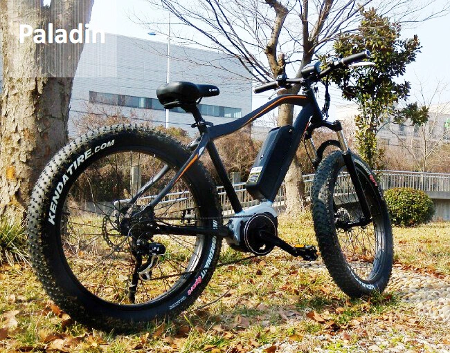 Paladin 26inch 48V 350W Powerful Electric Bike Made in China