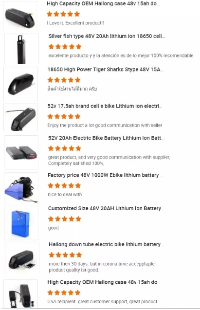Hailong Electric Scooter Ebike Battery 36V 48V 15ah 20ah Lithium Ion Electric Bicycle Battery for Electric Bike