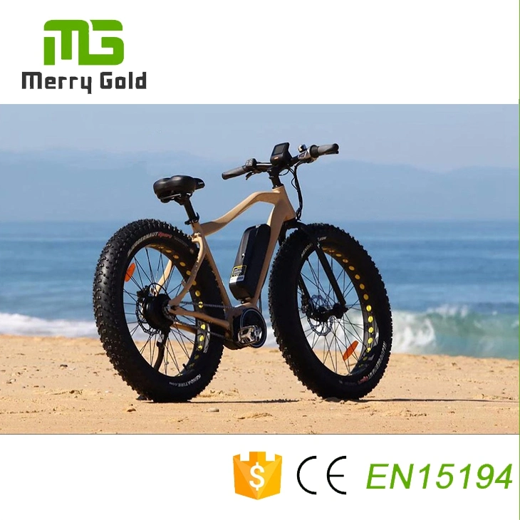 Promotion 26inch 48V 350W Fat Tire Electric Mountain Bike Ebike