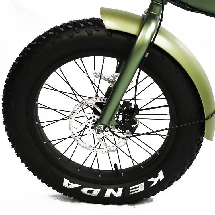 Mini Folding Electric Bike Lithium Battery Powered Bicycle Electric Fat Tire Bike