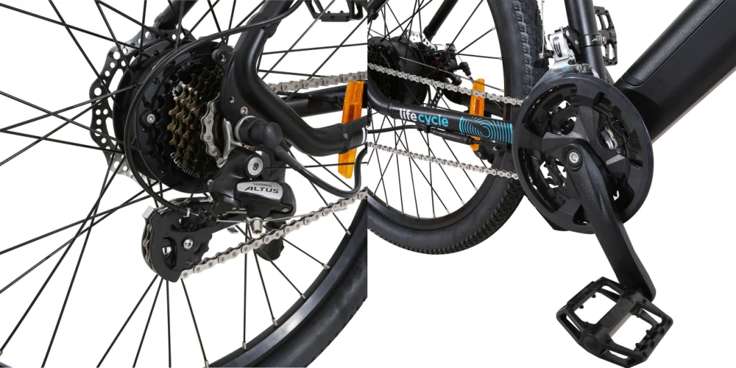 Powerful Electric Bike Hard Tail MTB Cruiser with Ce Approval