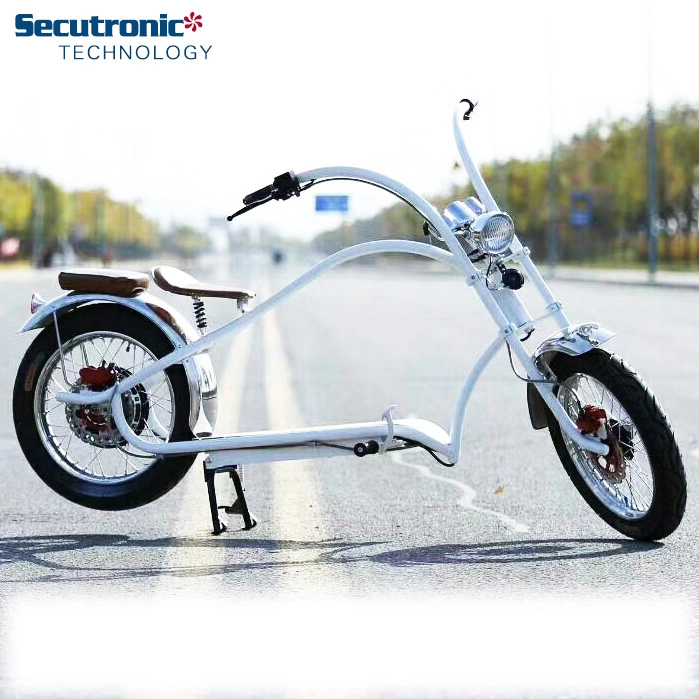 Ghost Bolsa PARA Old School Hydraulic Elektro Bike Cargo Electric Motorcycle 1000 Watt Bafang Motor