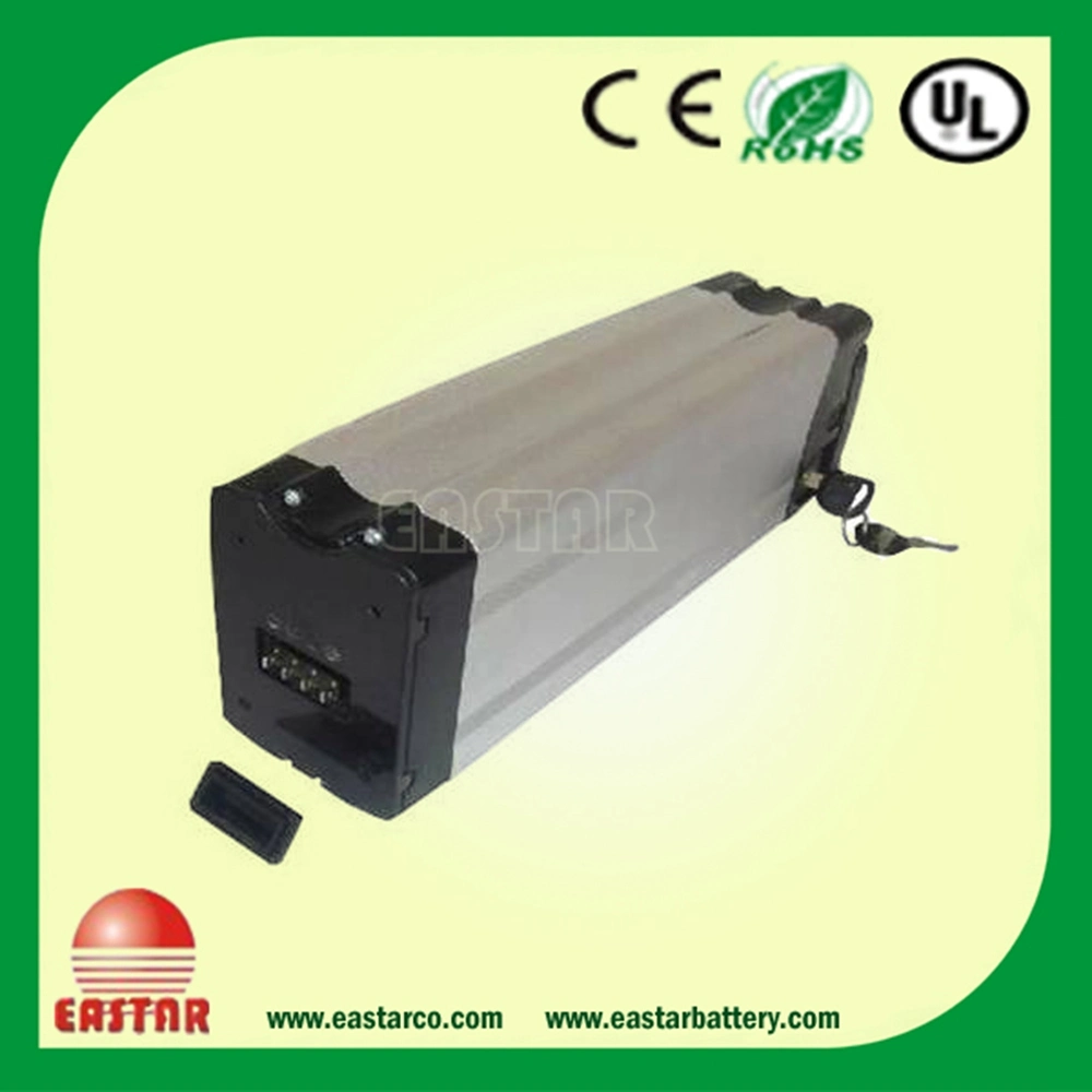 Electric Bike Battery 24V/36V/48V Rechargeable Lithium-Ion Battery for Ebike