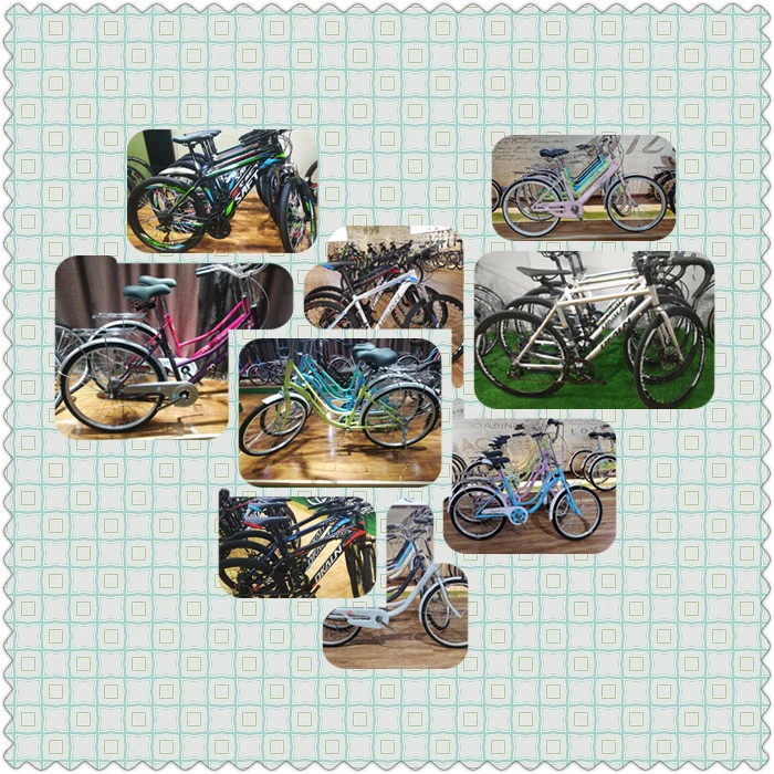 Foldable Mountain Bikes, Urban Leisure Sports Bikes Folding Bike Mountain Bicycle