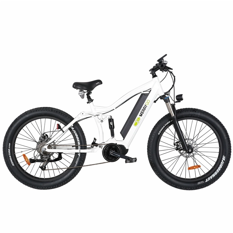 Fat Tire City Electric Bike Bafang Motor Shimano 8 Speed