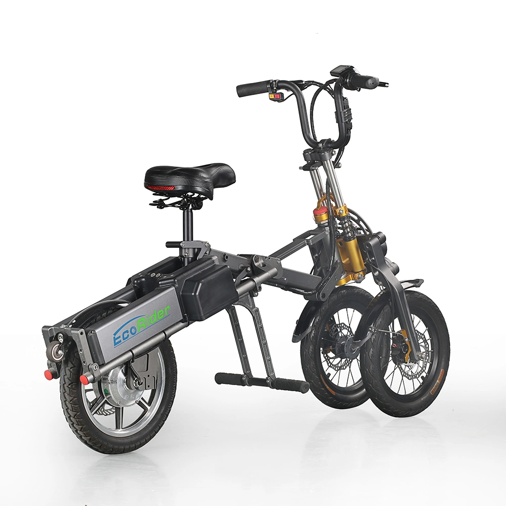 2019 250W European Fashionable Style Electric Folding Bike