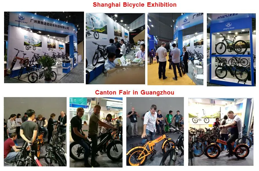 Fat Electric Bike Manufacturers in China
