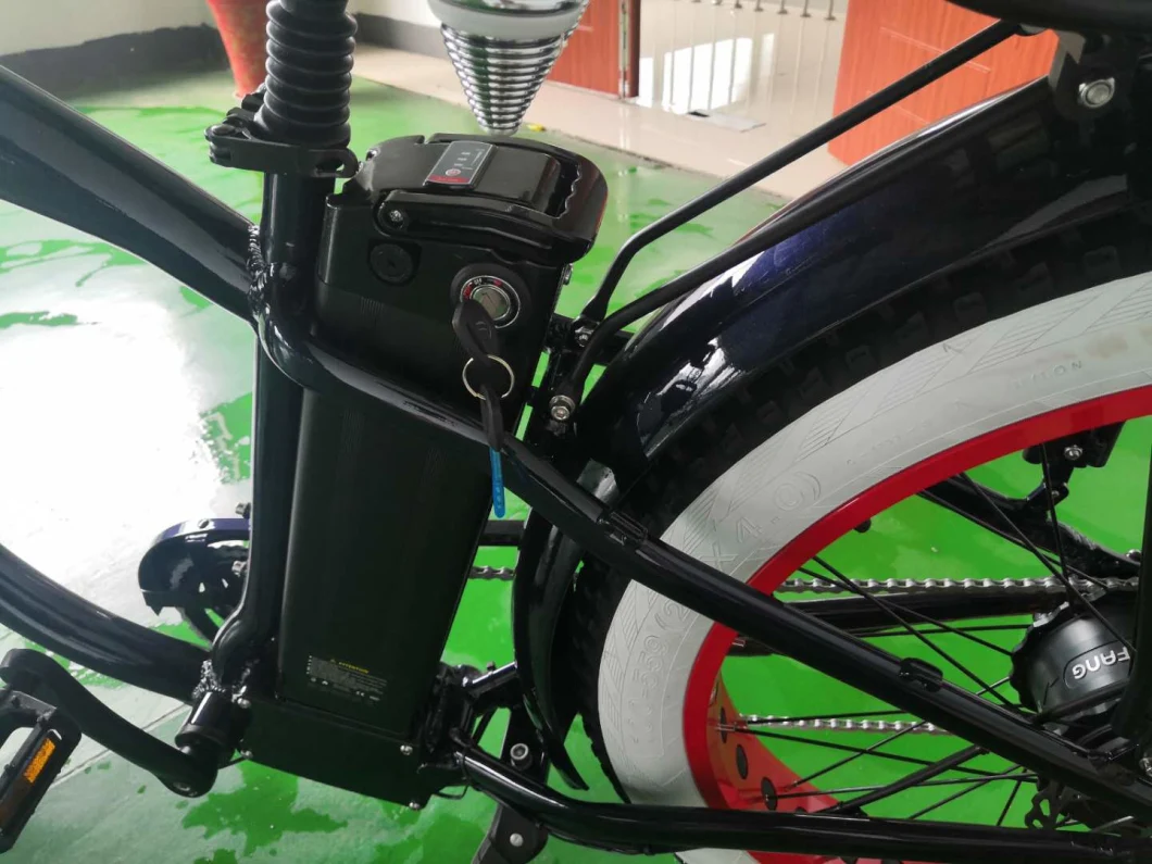 Wholesale Cheap Price Harry 48V500W Electric Bicycles for Sale Electric Bike