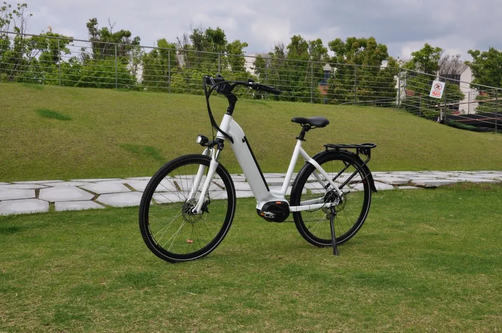 2020 700c 36V250W Electrical Bicycle, OEM E-Bike, Step Through City E Bike