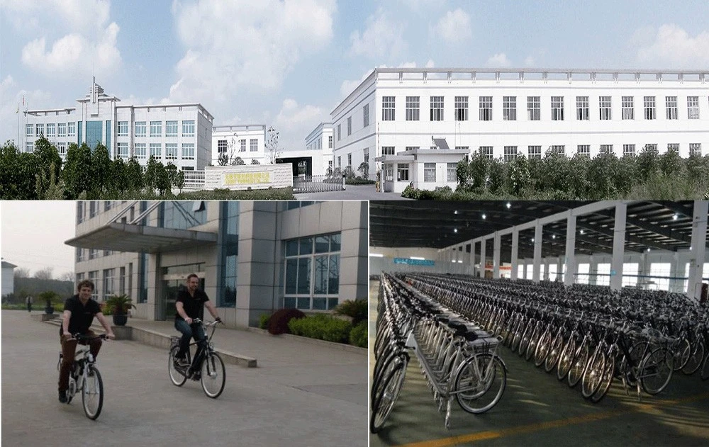 China E Bikes 700c MID Drive Electric City Bikes Factory Cheap Price Green Power/ E Cycle Bike