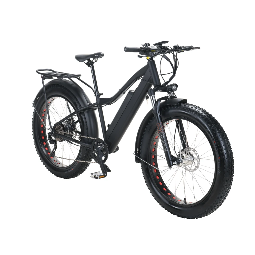 Rear Motor, Brushless 48V 750W 8fun Mountain Fat Ebike Snow Fat Bike/Electric Fat Bike