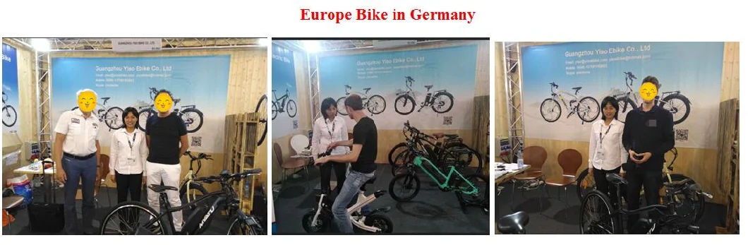 28'' Electric City Bike E Bicycle with Rear Motor Electric City Bike