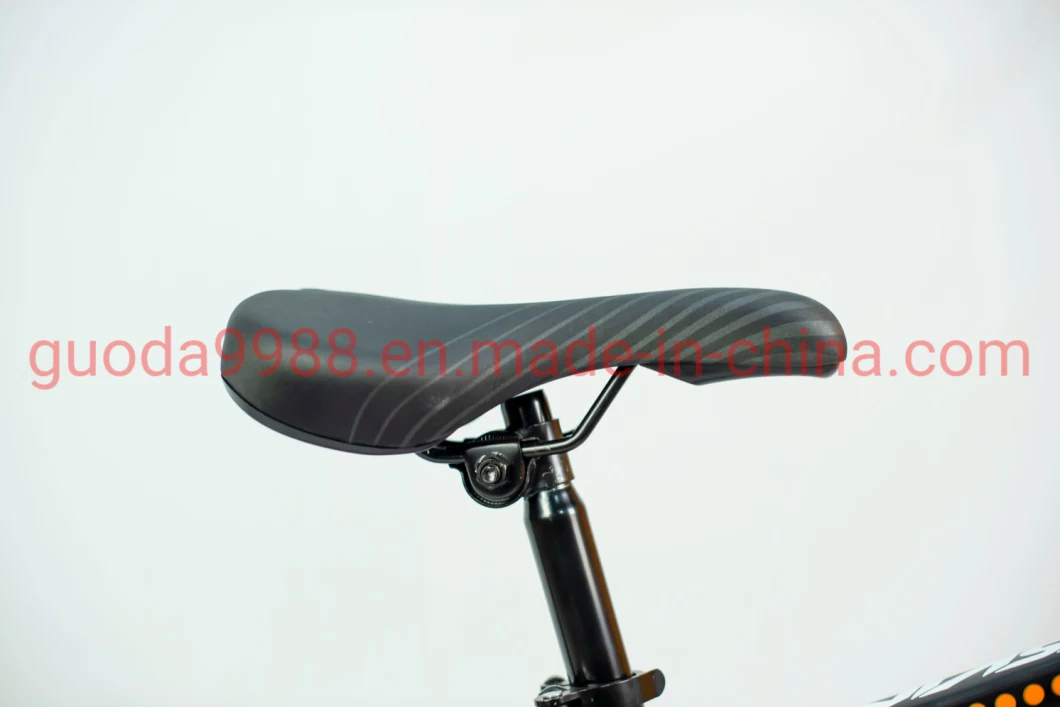 China Manufacturer Outdoor Bicycle New Design Bike Mountain Bike