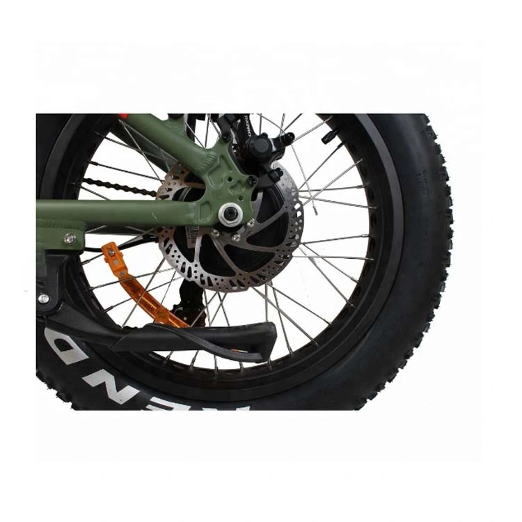 Aluminum Wheel Full Suspension Fat Tire Electric Bike 500W/ Folding E-Bikes for Sales Mz-205