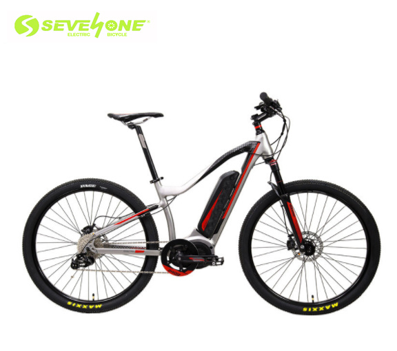 Customize Electric Bike with Bafang 48V 500W Middle Motor