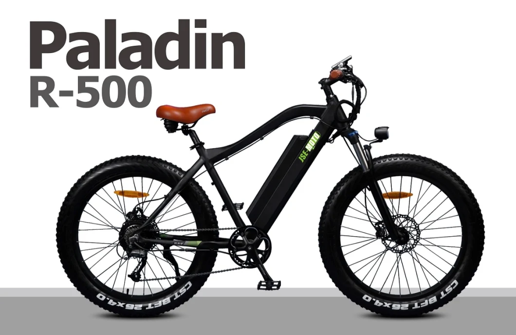 Factory Directly Paladin R500 26