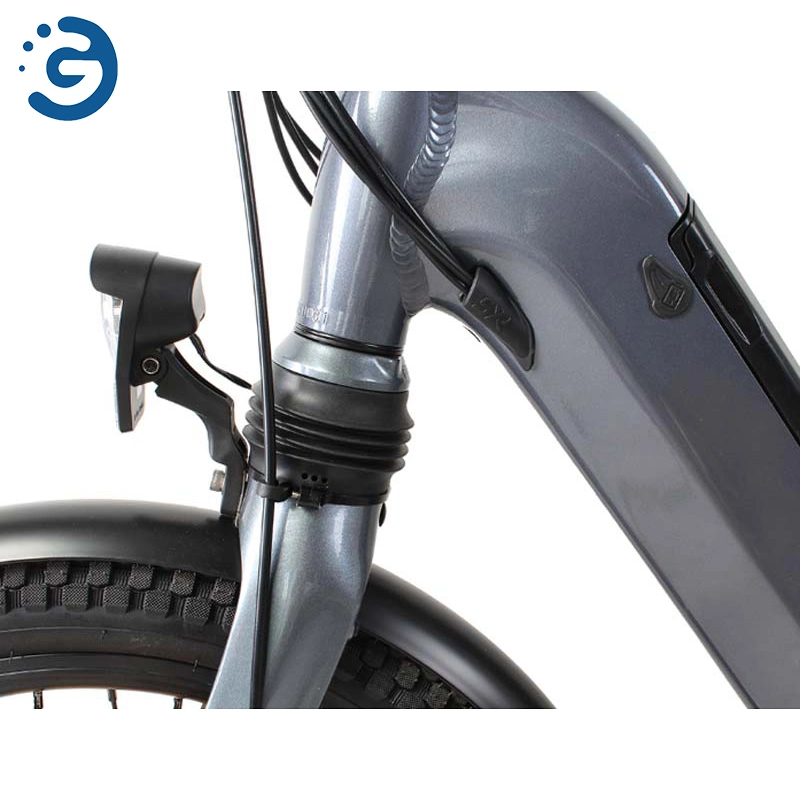 Hot Sale Fashionable E-Bike 20 Inch Lithium Battery Bicycle Folding Bicycle