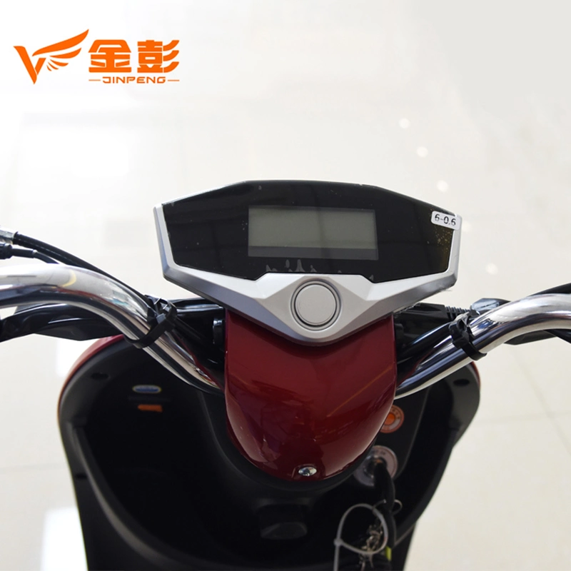 Chinese Electric Bike for Adult