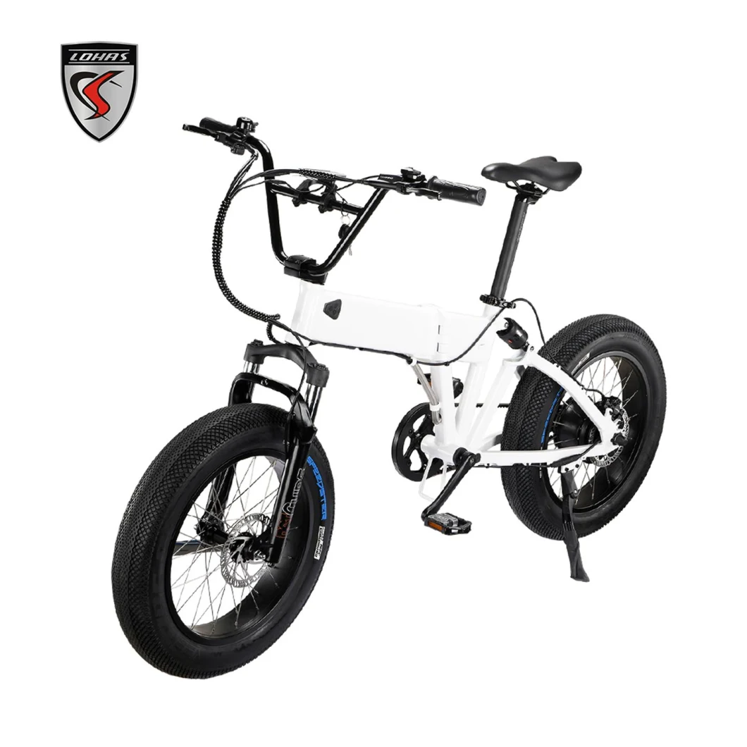 Folding Electric Bike E Bike, 20 Inch Electric Bicycle with 48ah 10.5ah Removable Lithium-Ion Battery Fat Tire Folding Bike Belt Drive Electrical Bike