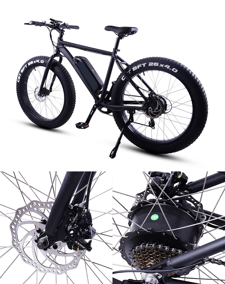 26inch 350W Dual Brake Fat Tire off Road Snow Beach Mountain Ebike Electric Dirt Bike Bicycle