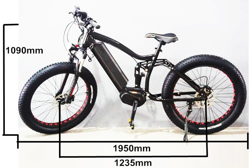 Wholesale 48V Fat Tire Electric Bike/ MID Drive Electric Bicycle Full Suspension E Bike