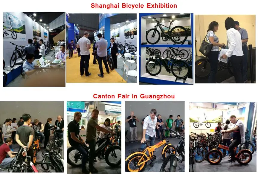 New Arrival Electric Bike Chinese 26 Inch Mountain Bike with Full Suspention