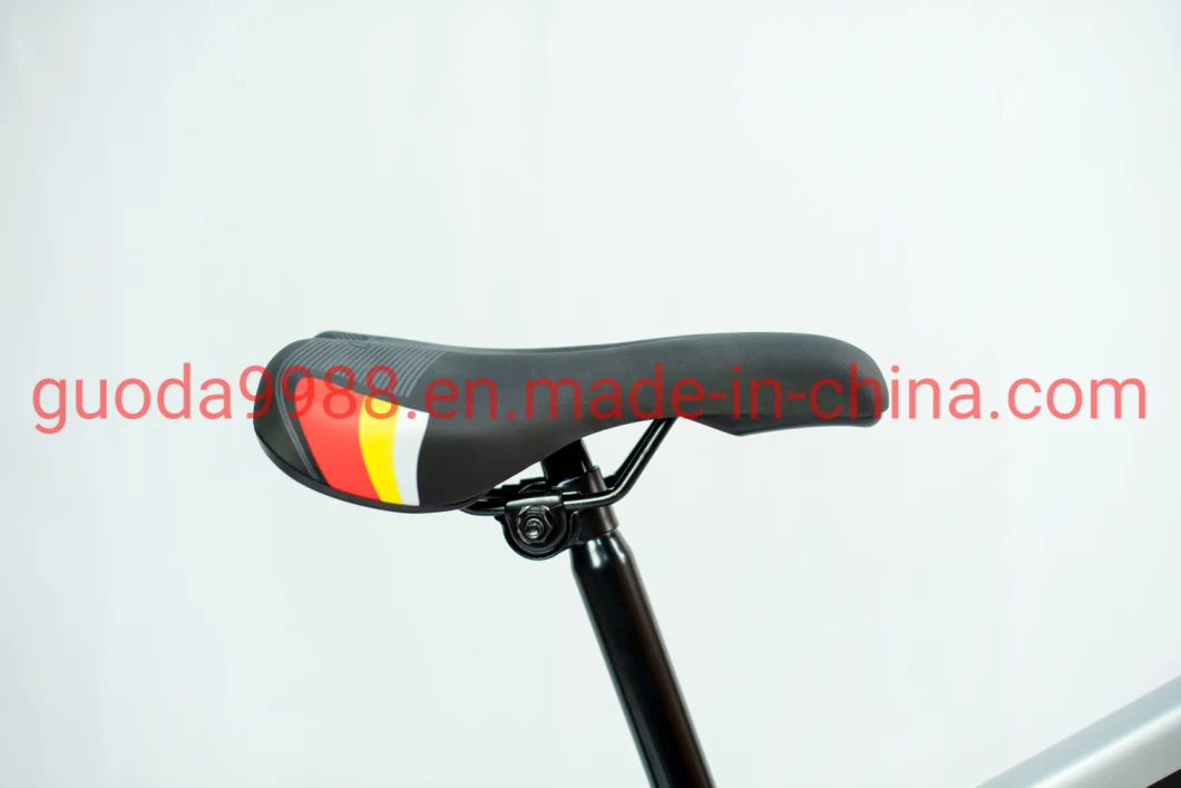 21 Speed Mountain Bike Bicycle Sports Bike From China Factory