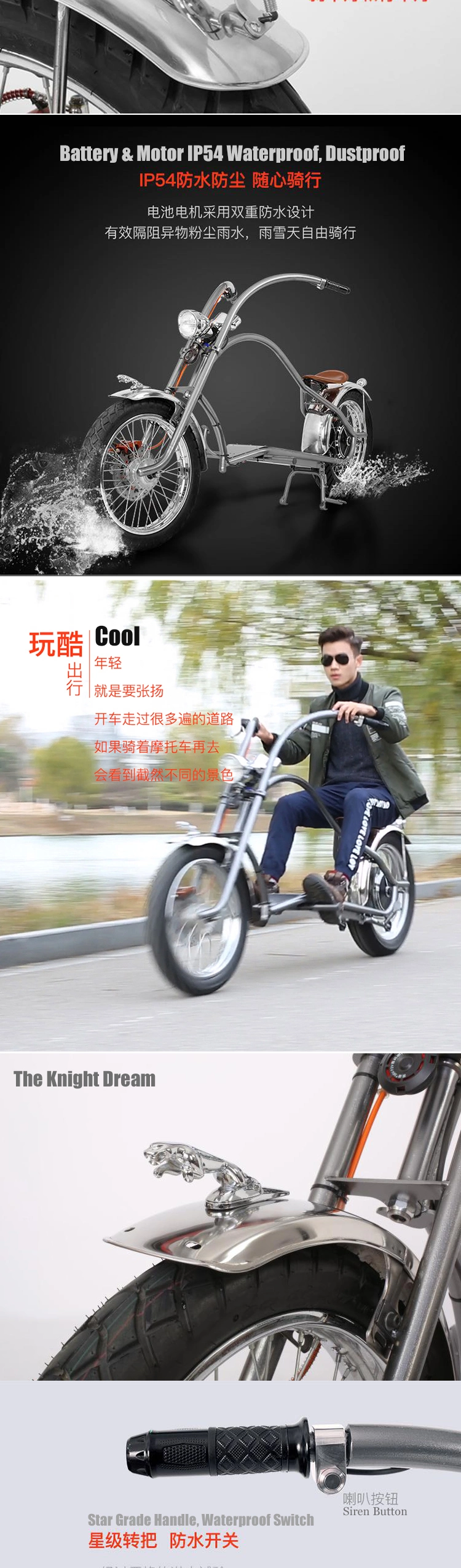Adults Two Person 60V 20ah 1000 W Double Seat 2 Seater Motor Electric Bike