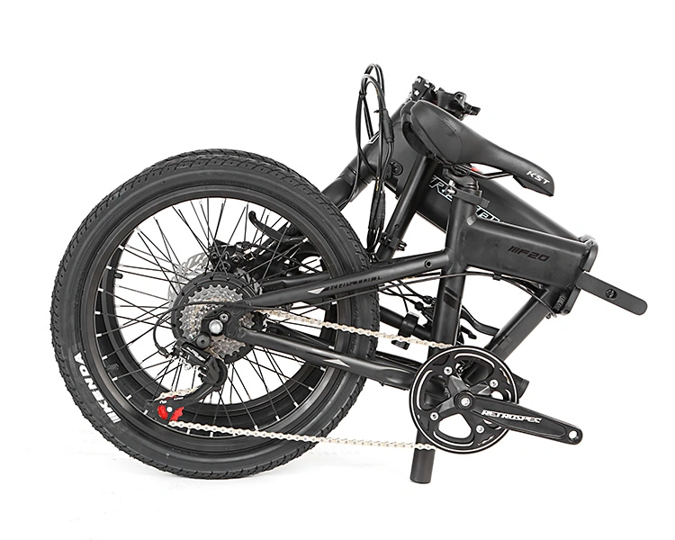 20 Inch Aluminium Frame Foldable Electric Bicycle Brushless Motor Electric Folding Bike