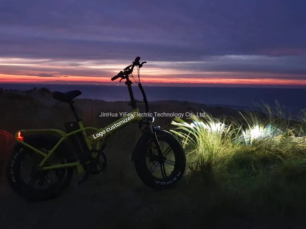 Foldable Electric Bicycle 750W 15ah Fat Tire Electric Bike Folding Ebike