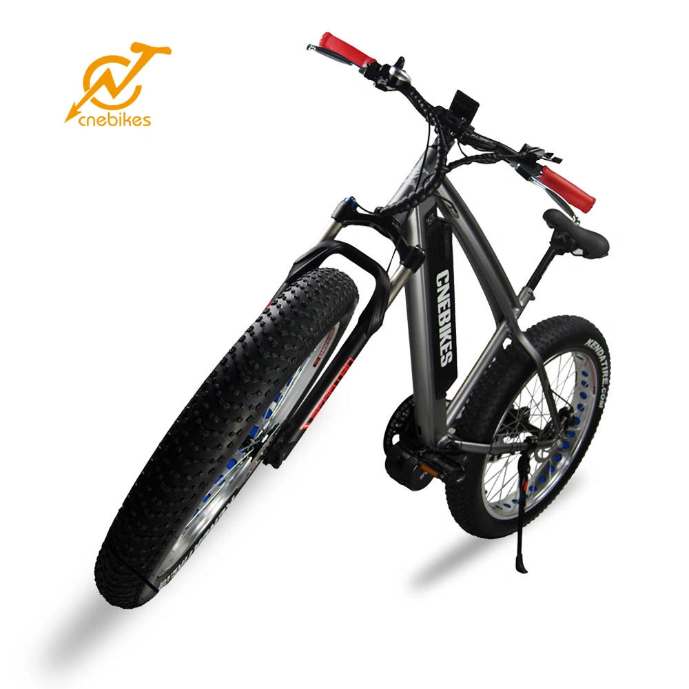 Bafang BBS02 750W MID Motor Electric Bike with Fat Tire