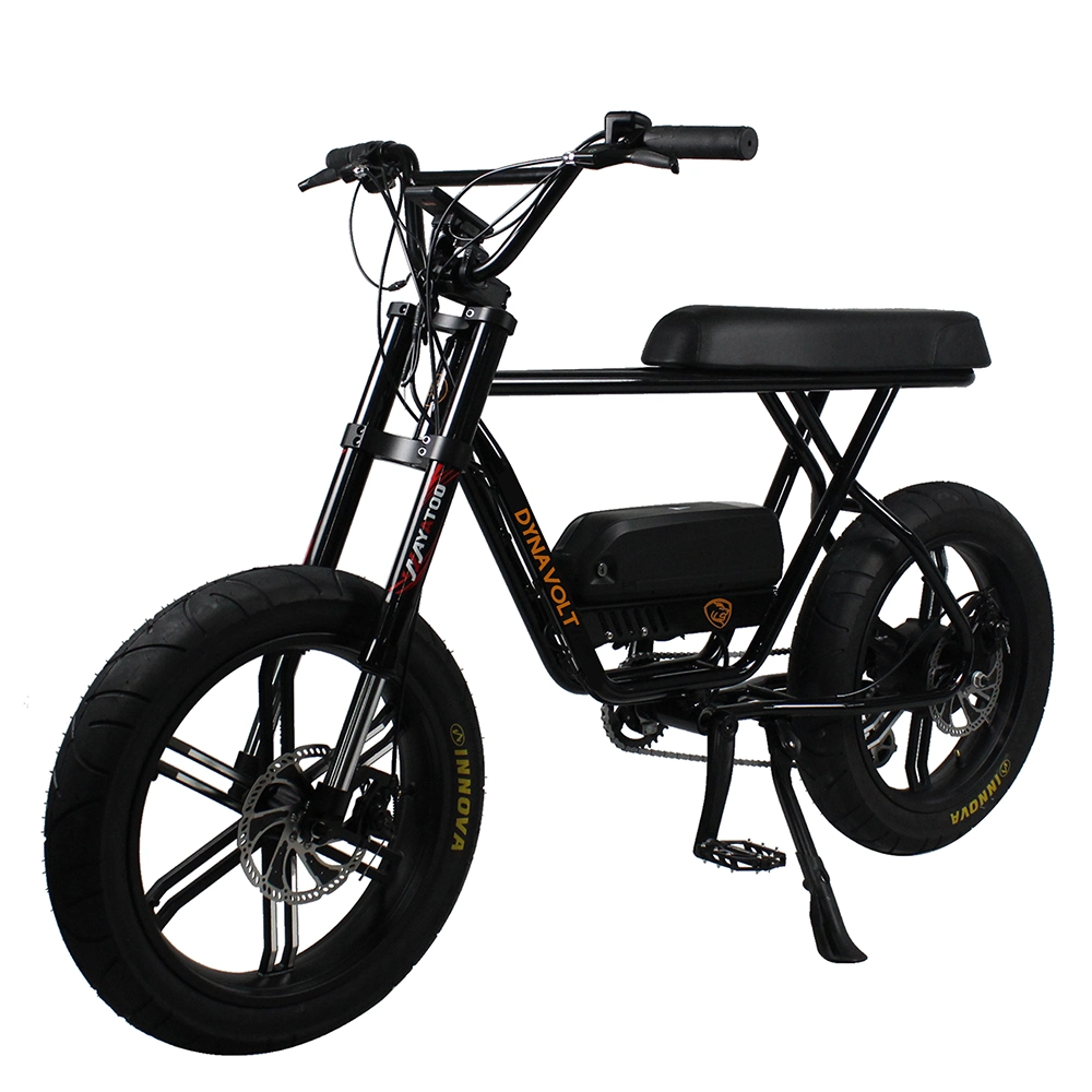 Ebike for Men Diring Iron Frame Integrated Wheel Bafang Rear Motor 48V 750W Electric Bike Bicycle