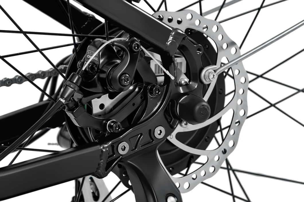 Professional Derailleur with 7 Speed City City Commuter Ebike