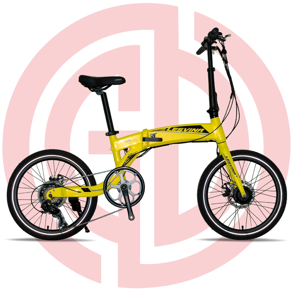 Foldable Mountain E-Bike with Battery in Frame Besting Selling