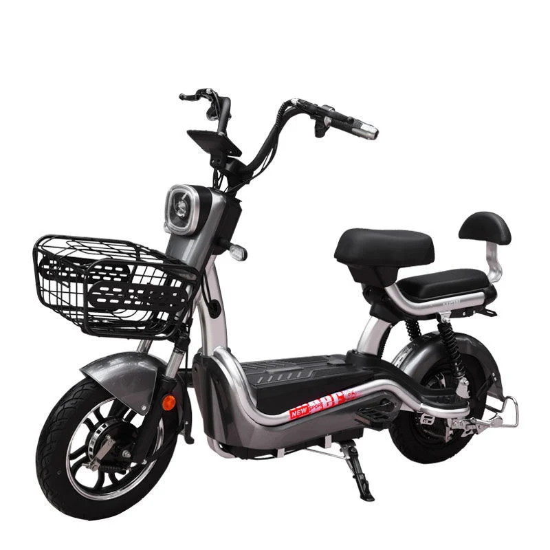 Powerful Cheap Electric Bike 48V 350W