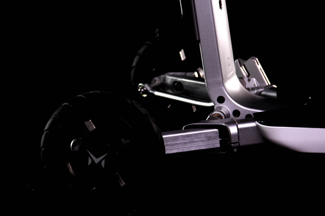 Folding Electric 3 Wheels Bikes with 250 W Brushless Gear DC Hub Motor, LG Battery.