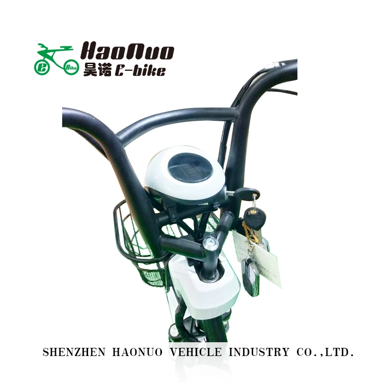 14inch Tubeless Tyre Electric Bike with Pedal Assistant for Adult