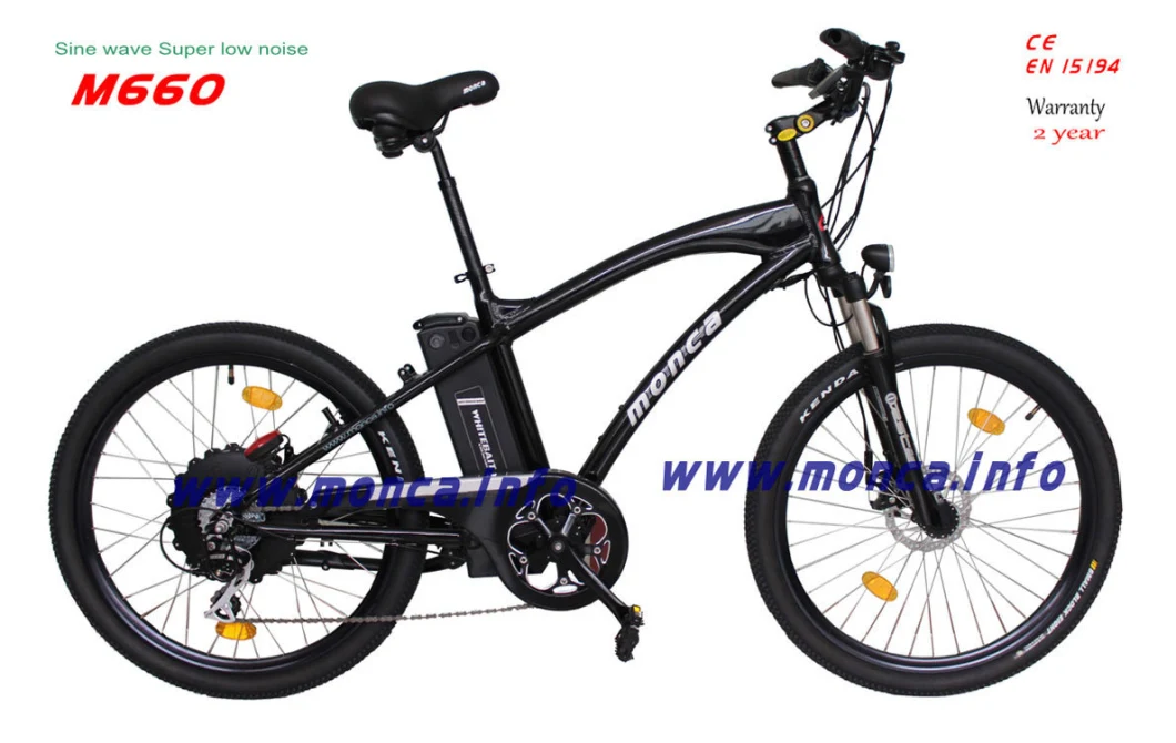 Cool Mountain E Bike Bicycle Electric E Bike with Shimano Nexus Derailleur