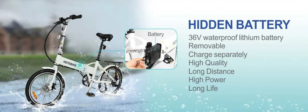 20 Inch 36V 250W 350W 500W Hidden Battery Folding Electric Bike