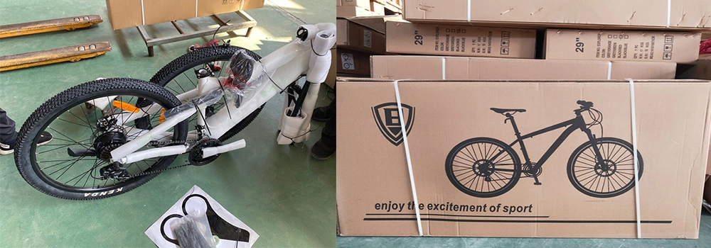 Electric Easy Bike/Electric Fat Bike Bafang/Electric Ebike Powerful