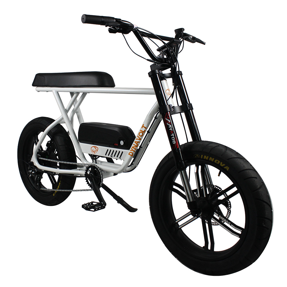 48V 750W Bafang Motor Fat Bike 2020 Electric Bike Fat Ebike