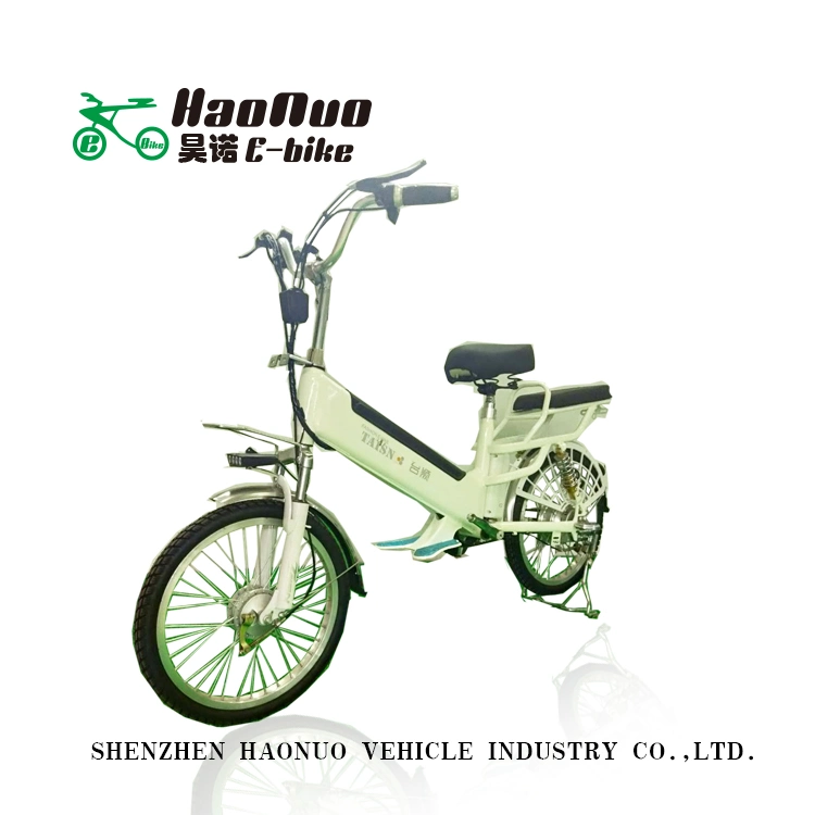 Soft Seat 20 Inch Wheel 48V 250watt Electric Bike with Pedal Assistant for Two Persons