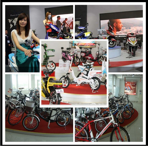 Big Fat Tyre Electric Bike Unfolding Bicycle with Electric Motor Electric Bicycle Sale