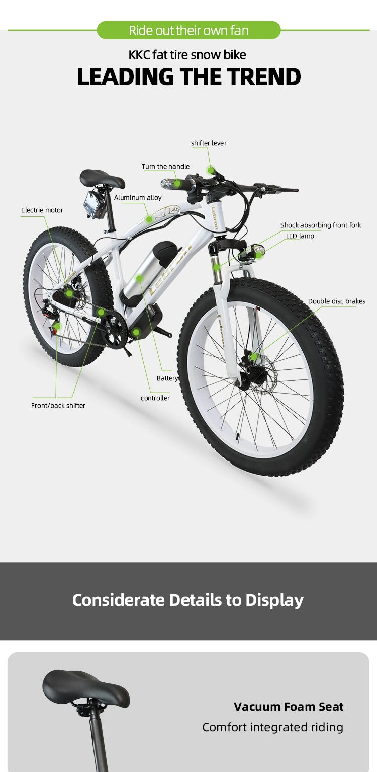 2021 New Style 350W/500W /1000W Customized Brushless Motor Mountain Fat Tire Electric Bikes