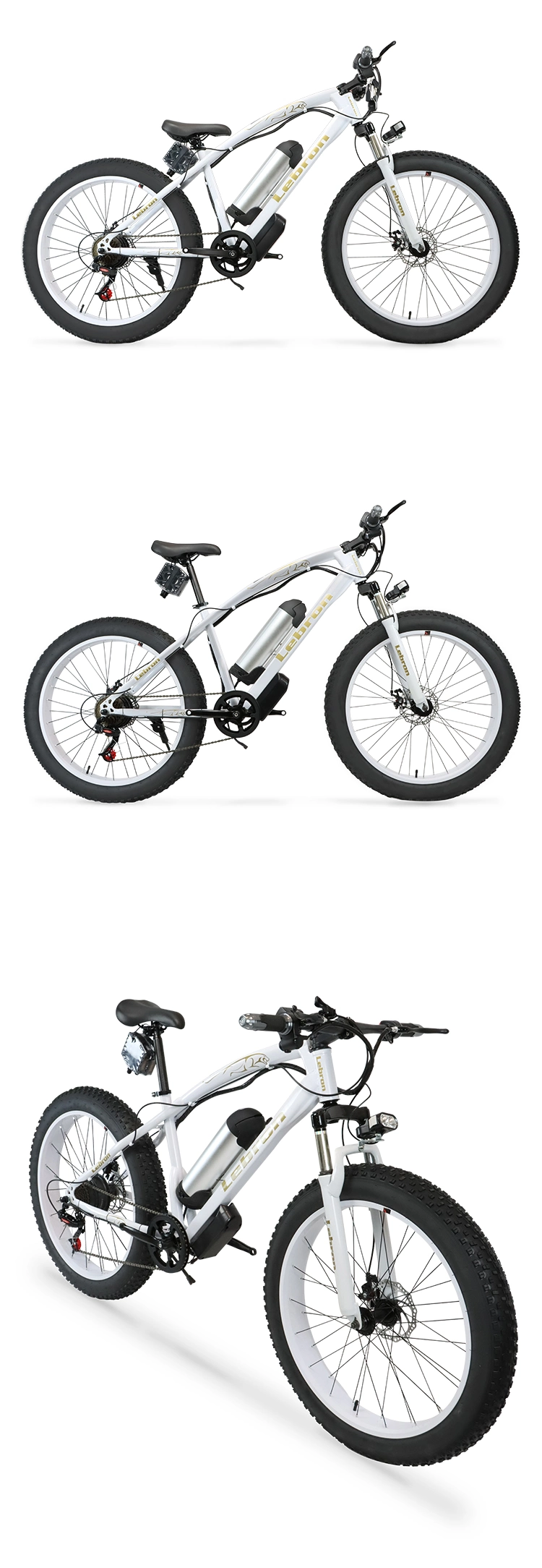 2021 New Style 350W/500W /1000W Customized Brushless Motor Mountain Fat Tire Electric Bikes